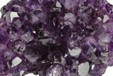 Dark Purple, Amethyst Crystal Cluster - Uruguay #122052-1